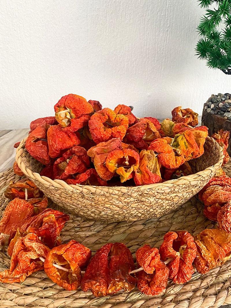 Kuru Biber Dolması – Gaziantep Yöresel (Premium Seçim)